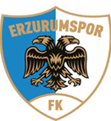 Footer Logo