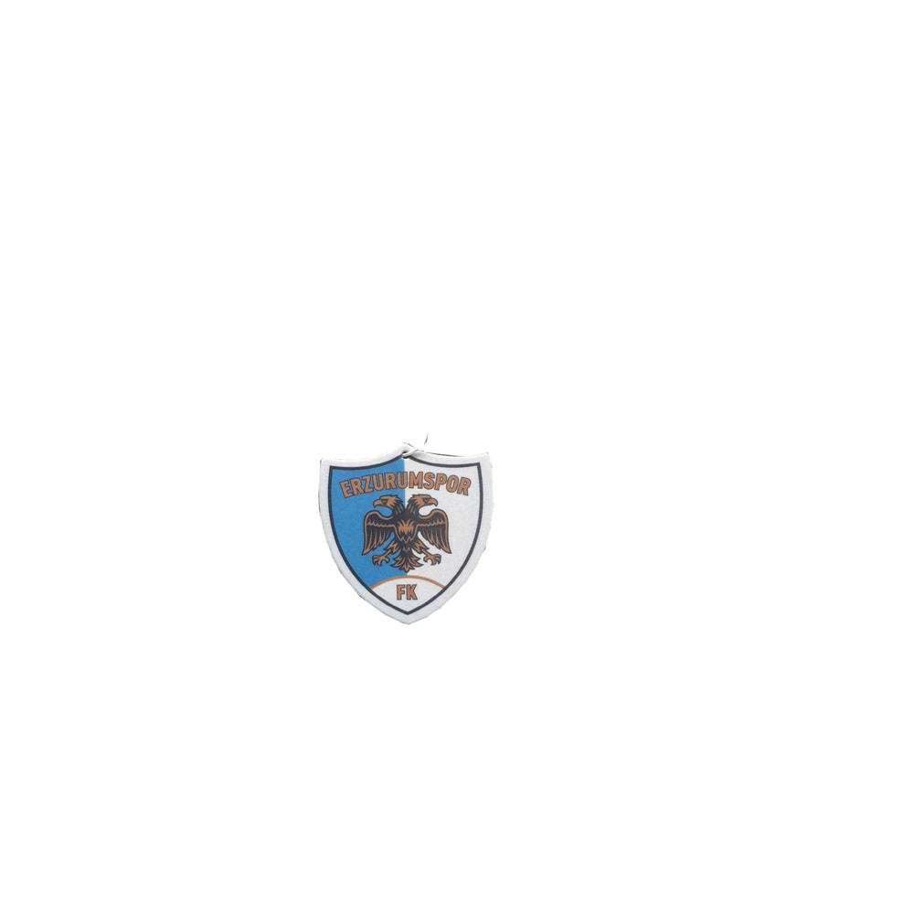 ERZURUMSPOR ARAÇ KOKUSU